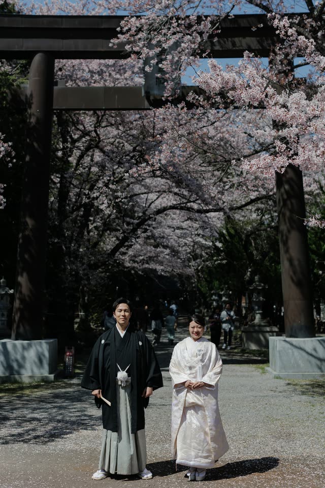 桜の枝の下、白無垢の横顔