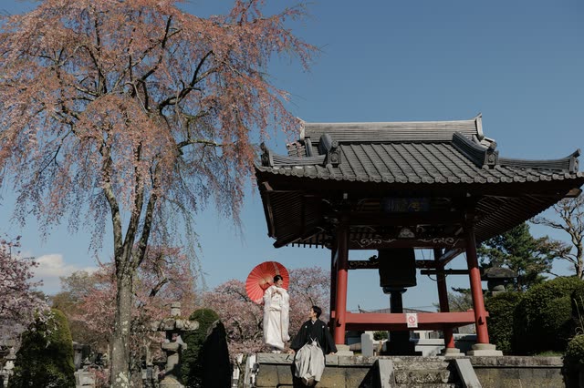 鐘楼と枝垂れ桜、赤い和傘